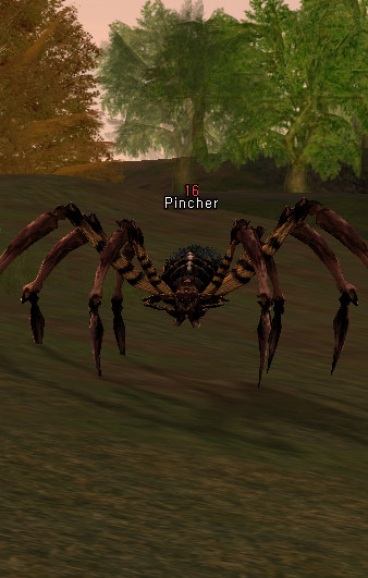 NPC Паук Захватчик Lineage 2