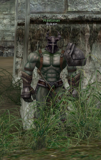 NPC [object Object] Lineage 2