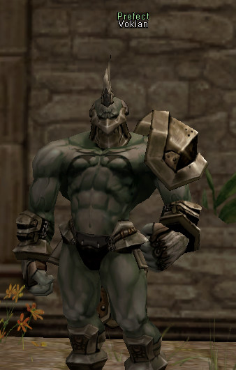 NPC Vokian Lineage 2