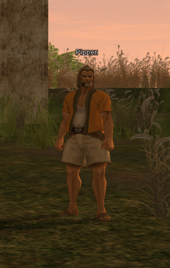 NPC Pippen Lineage 2