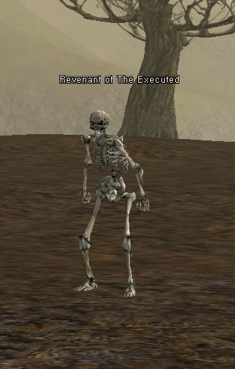 NPC Ghost of Execution Ground Lineage 2