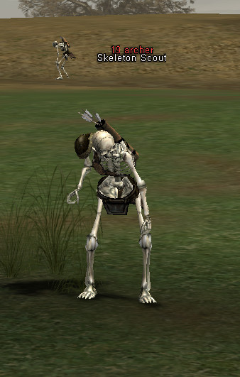 NPC Skeleton Scout Lineage 2