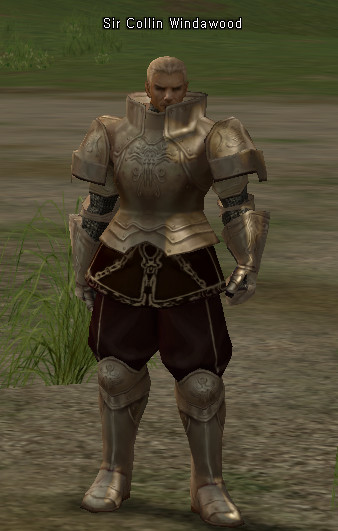NPC Sir Collin Windawood Lineage 2