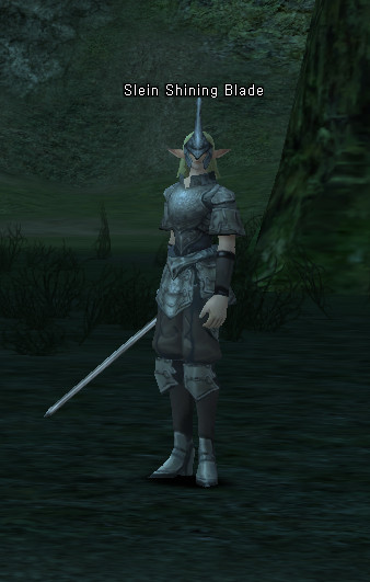NPC Slein Shining Blade Lineage 2