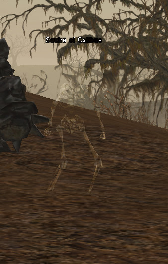 NPC Служитель Калибуса Lineage 2