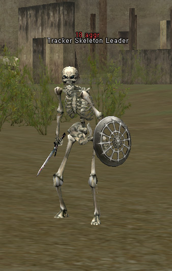 NPC Tracker Skeleton Leader Lineage 2