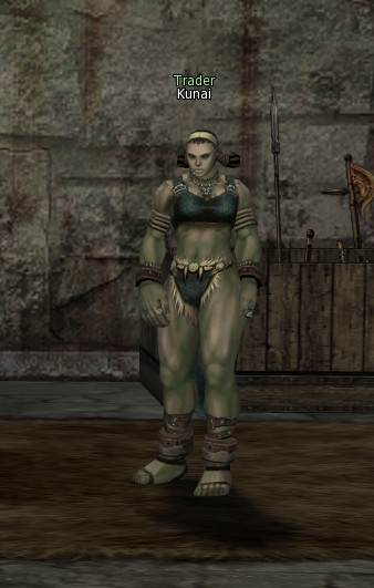 NPC [object Object] Lineage 2