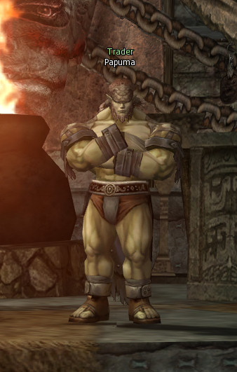 NPC [object Object] Lineage 2