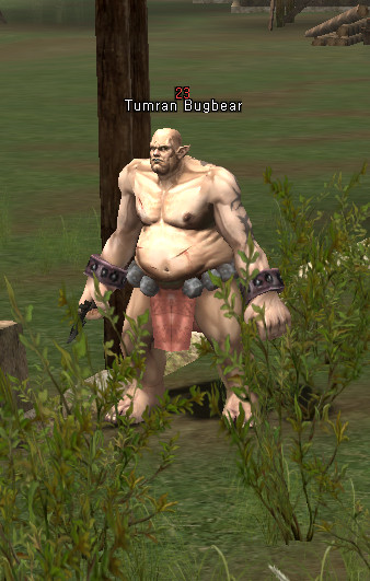 NPC Tumran Bugbear Lineage 2