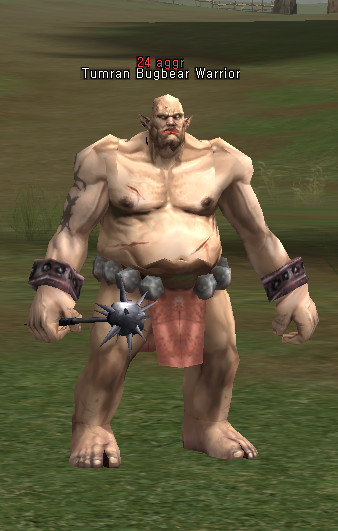 NPC Tumran Bugbear Warrior Lineage 2