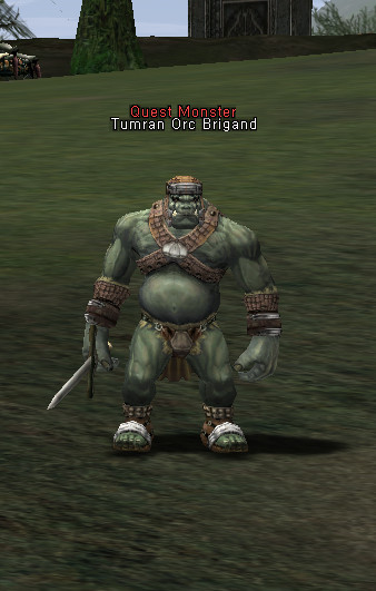 NPC Tumran Orc Brigand Lineage 2