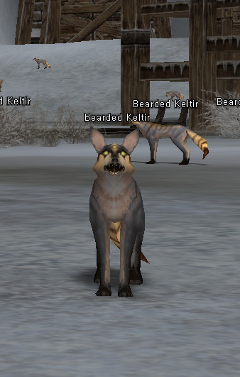 NPC Бородатый Шакал Lineage 2