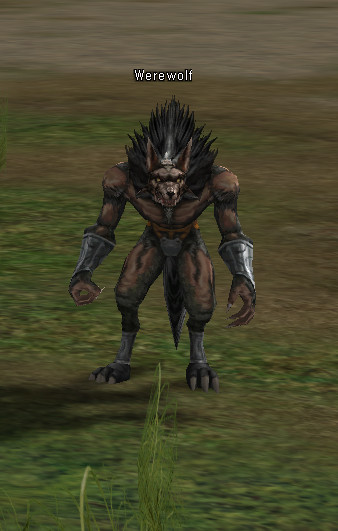 NPC Оборотень Lineage 2