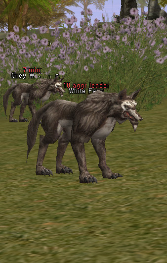 NPC Белый Клык Lineage 2