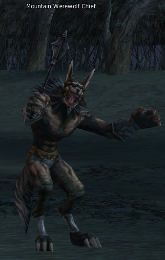 NPC Глава Горных Оборотней Lineage 2