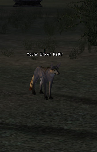 NPC Молодой Бурый Шакал Lineage 2