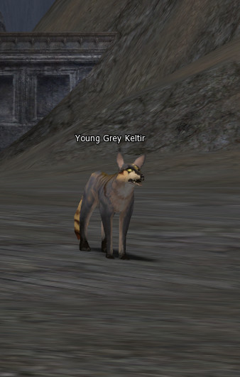 NPC [object Object] Lineage 2